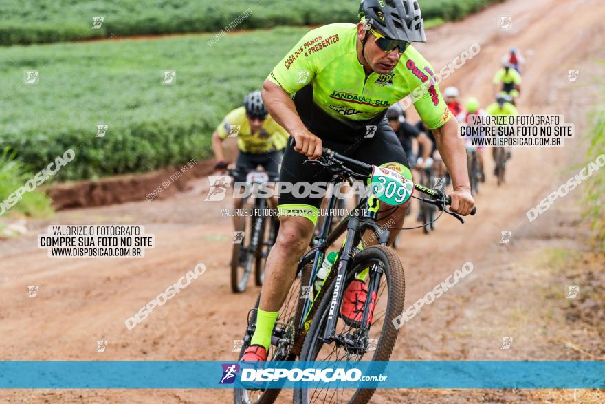 V GP Mandaguaçu de MTB