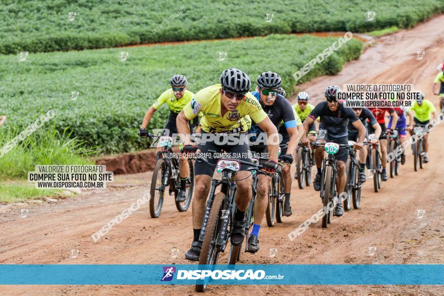 V GP Mandaguaçu de MTB