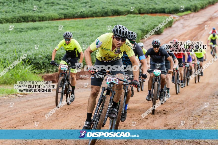 V GP Mandaguaçu de MTB