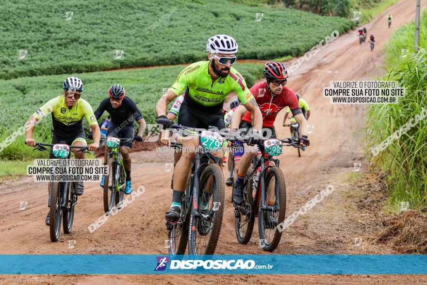 V GP Mandaguaçu de MTB