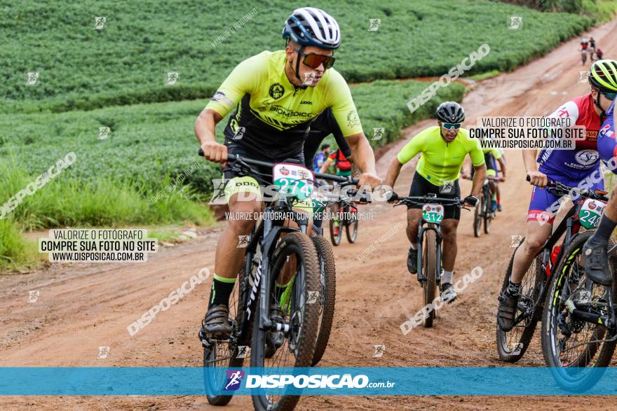 V GP Mandaguaçu de MTB