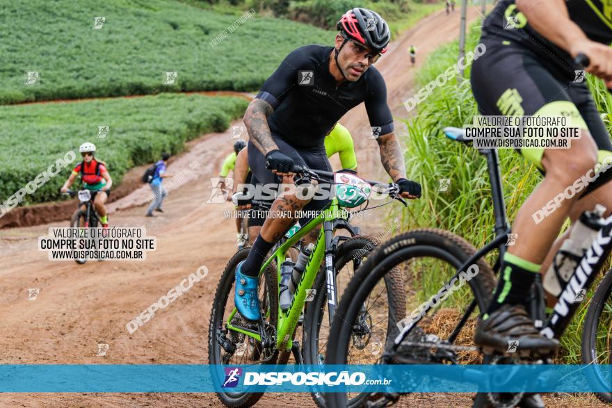 V GP Mandaguaçu de MTB