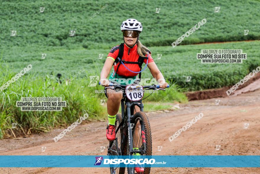 V GP Mandaguaçu de MTB