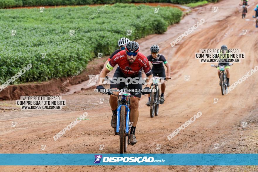 V GP Mandaguaçu de MTB