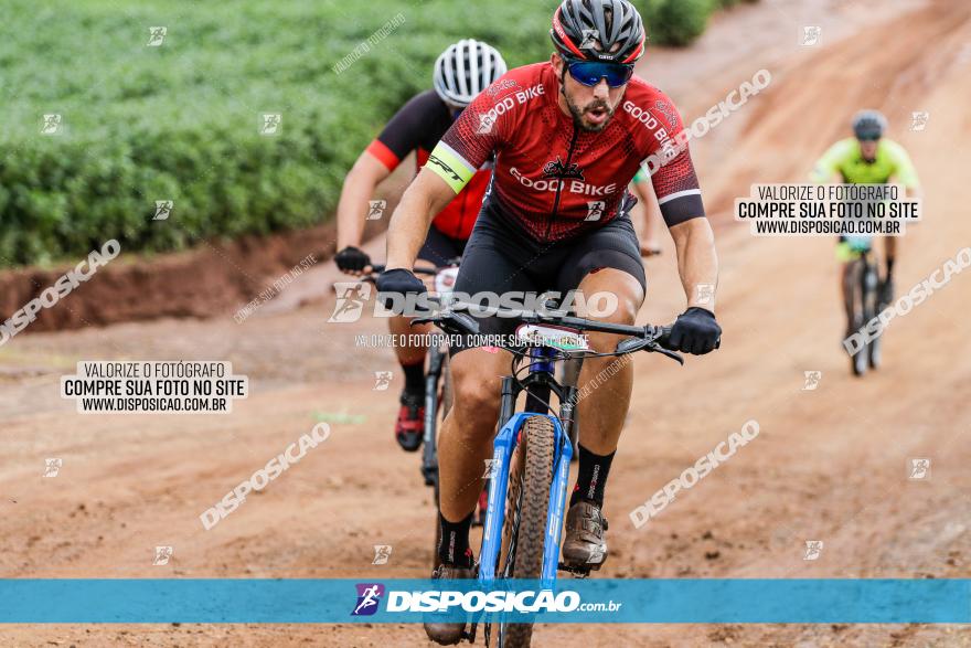 V GP Mandaguaçu de MTB