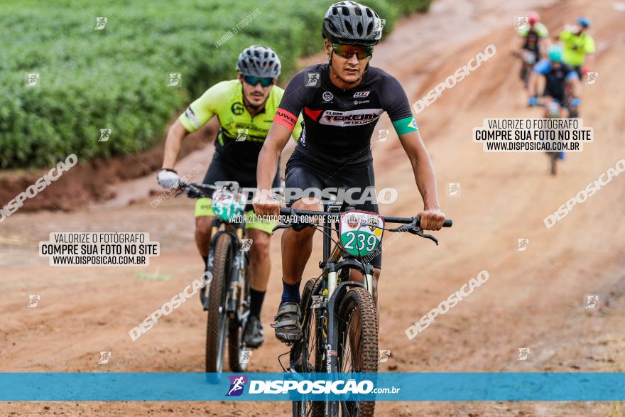 V GP Mandaguaçu de MTB