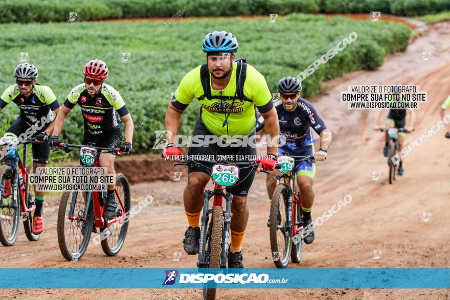 V GP Mandaguaçu de MTB