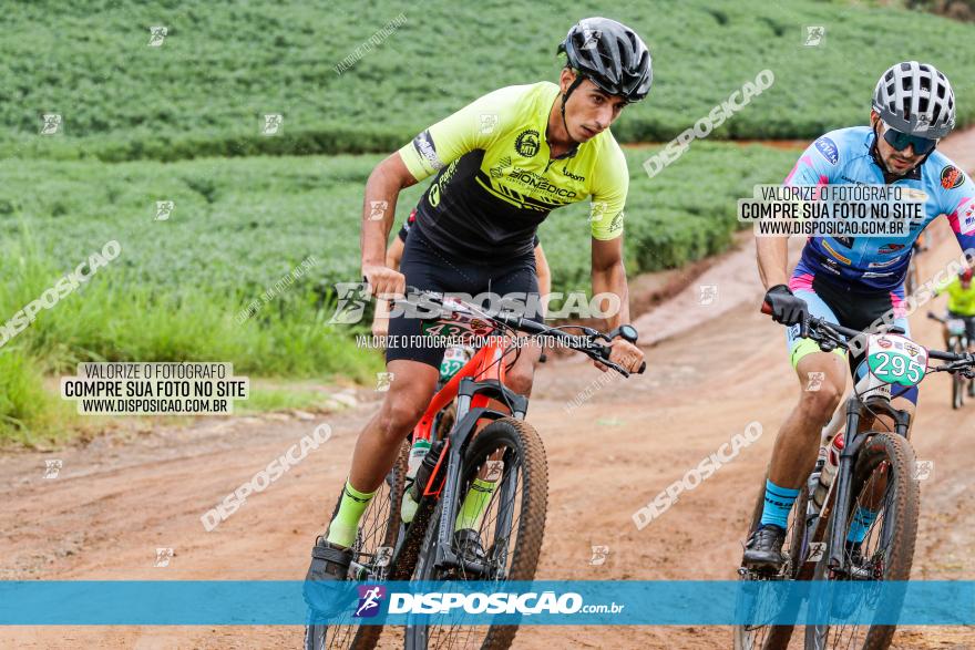 V GP Mandaguaçu de MTB