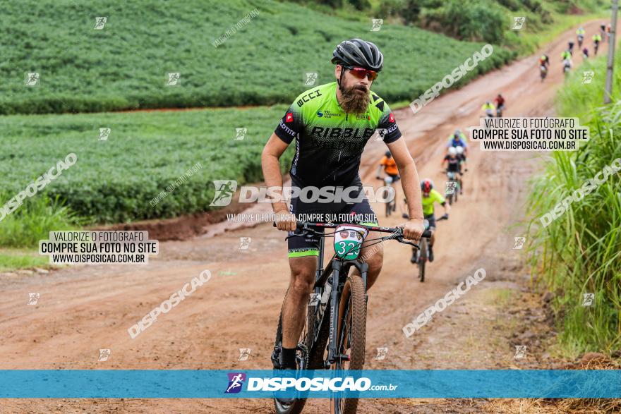 V GP Mandaguaçu de MTB