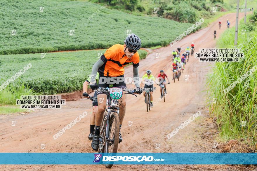 V GP Mandaguaçu de MTB