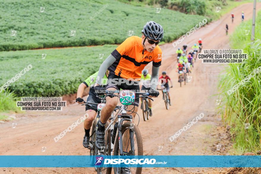 V GP Mandaguaçu de MTB