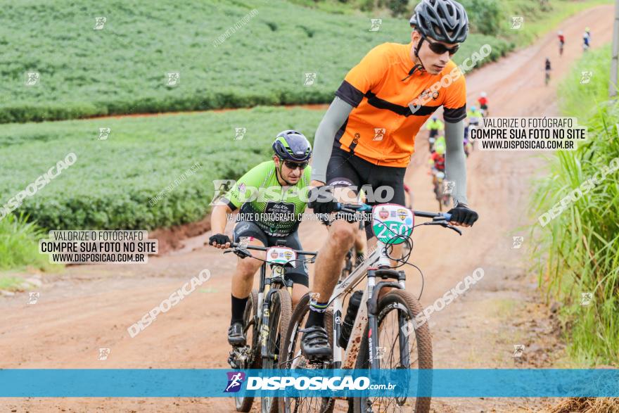 V GP Mandaguaçu de MTB