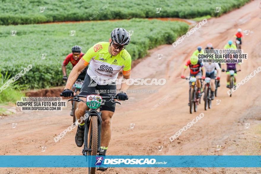 V GP Mandaguaçu de MTB