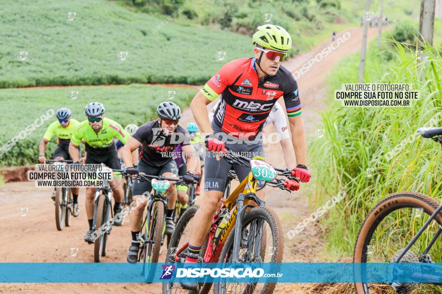 V GP Mandaguaçu de MTB