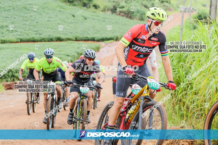 V GP Mandaguaçu de MTB