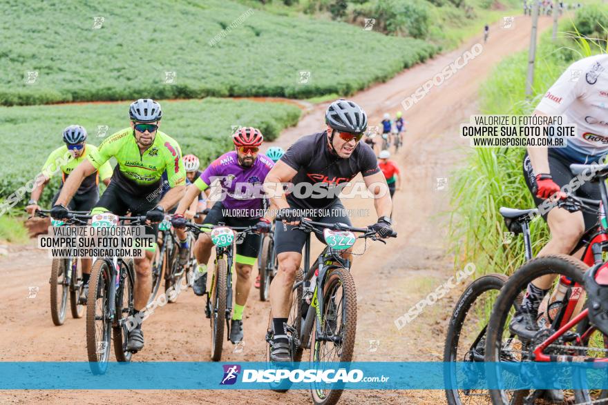 V GP Mandaguaçu de MTB