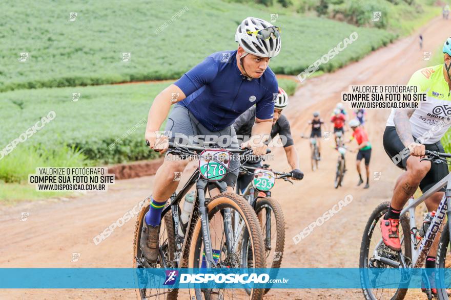 V GP Mandaguaçu de MTB