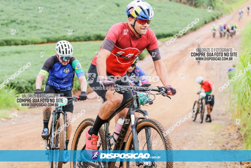 V GP Mandaguaçu de MTB