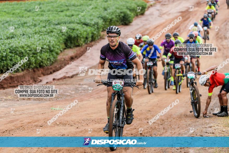 V GP Mandaguaçu de MTB