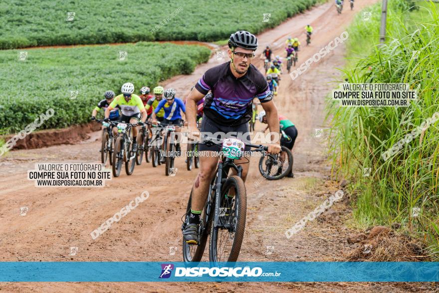 V GP Mandaguaçu de MTB