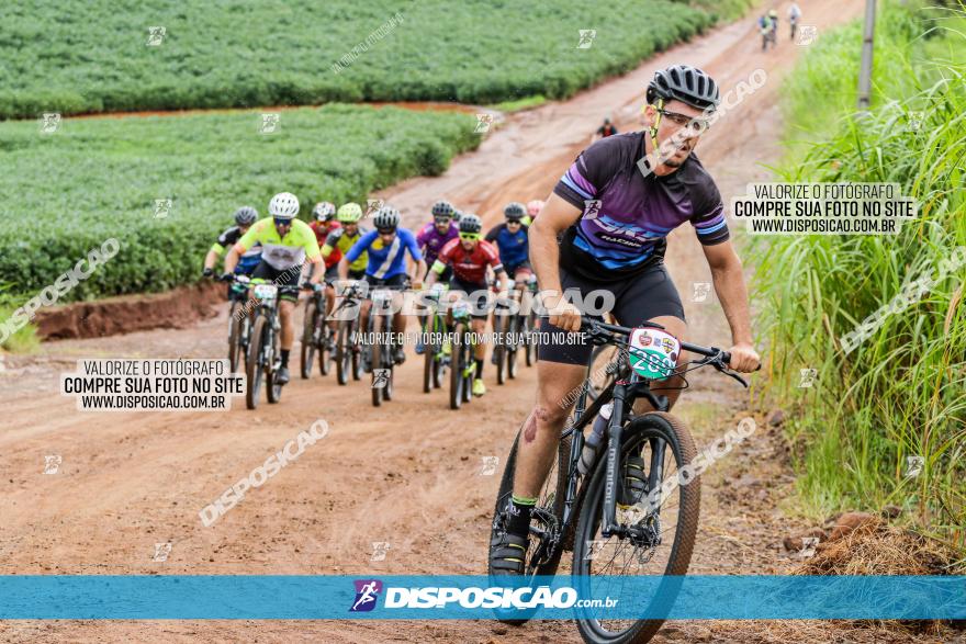 V GP Mandaguaçu de MTB