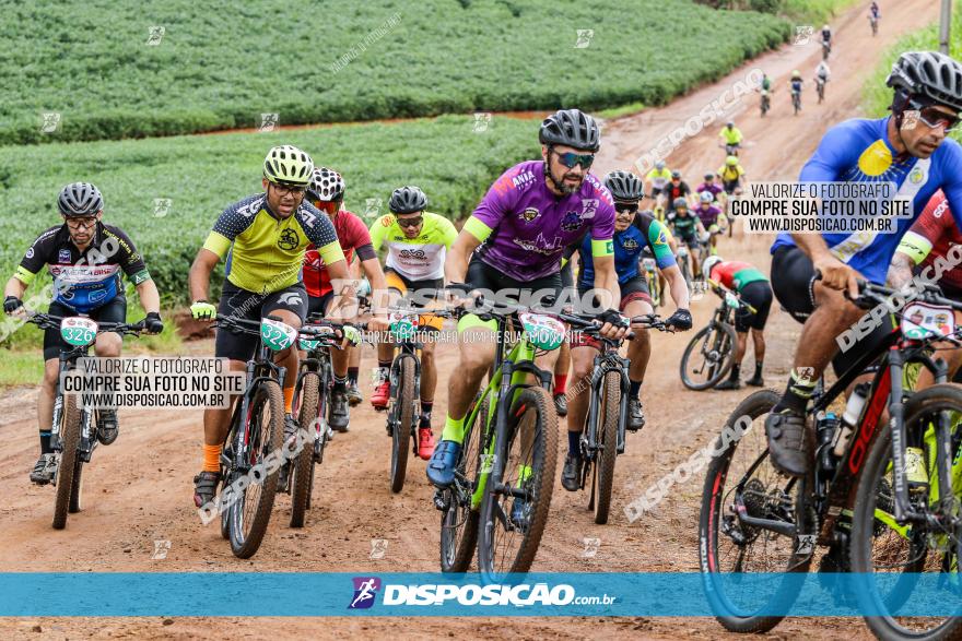 V GP Mandaguaçu de MTB