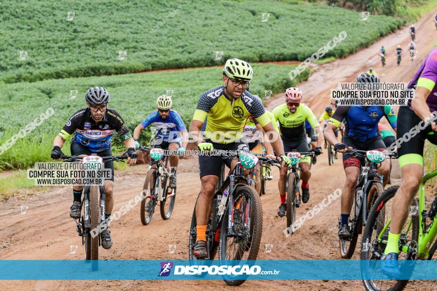 V GP Mandaguaçu de MTB