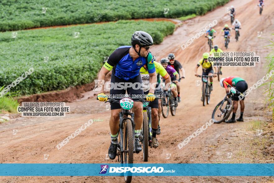 V GP Mandaguaçu de MTB