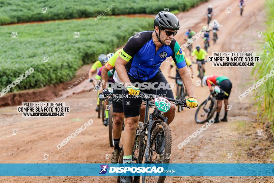 V GP Mandaguaçu de MTB