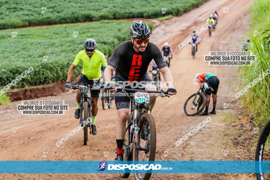 V GP Mandaguaçu de MTB