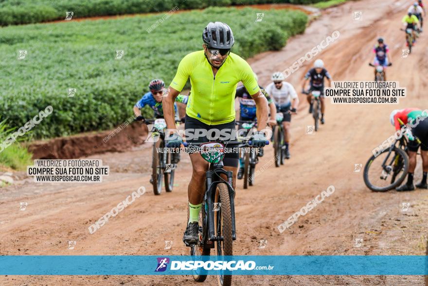 V GP Mandaguaçu de MTB