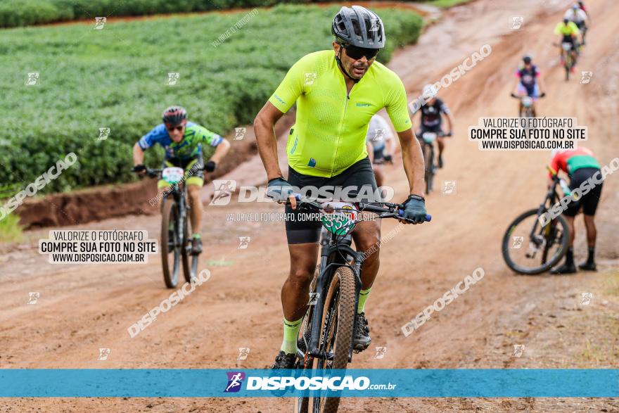 V GP Mandaguaçu de MTB