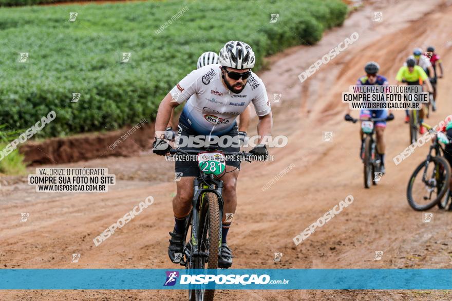 V GP Mandaguaçu de MTB