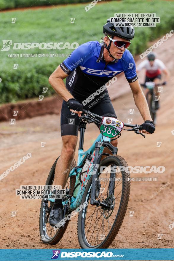 V GP Mandaguaçu de MTB