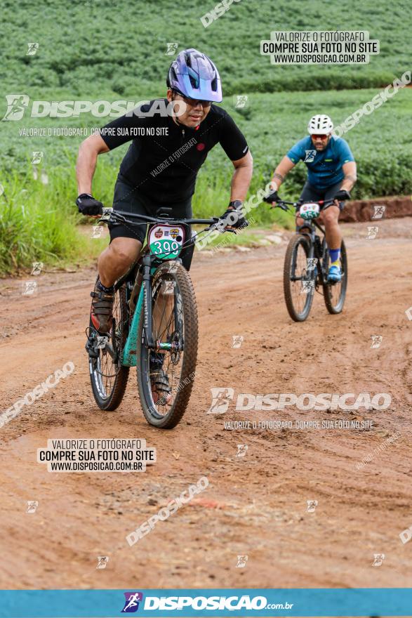 V GP Mandaguaçu de MTB