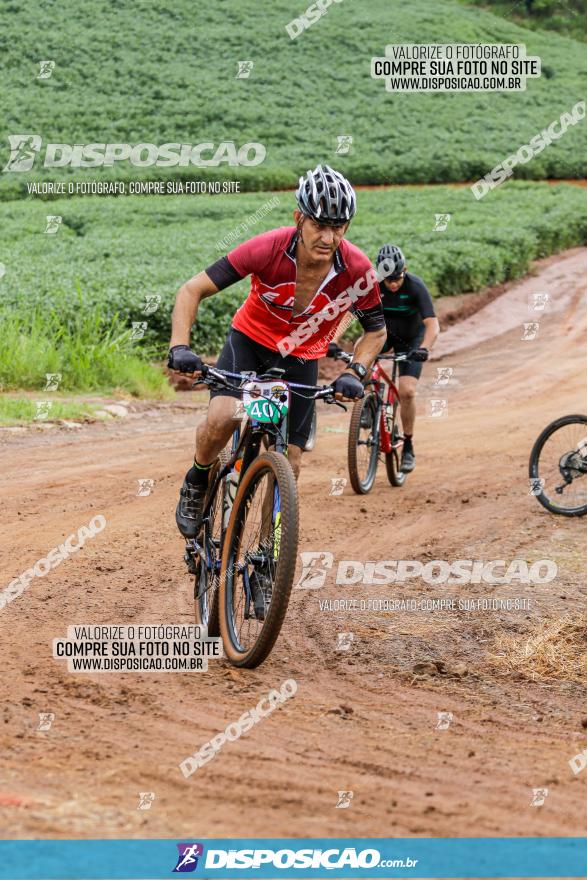 V GP Mandaguaçu de MTB