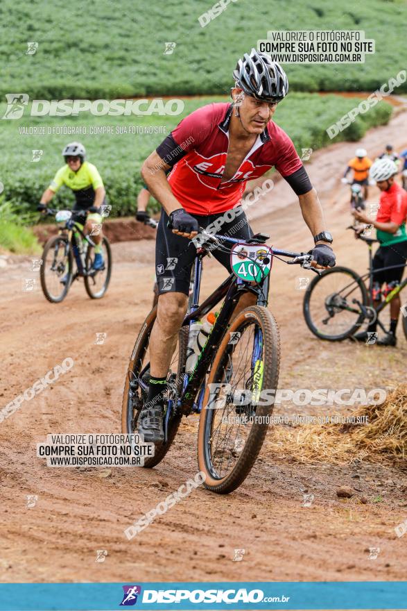 V GP Mandaguaçu de MTB