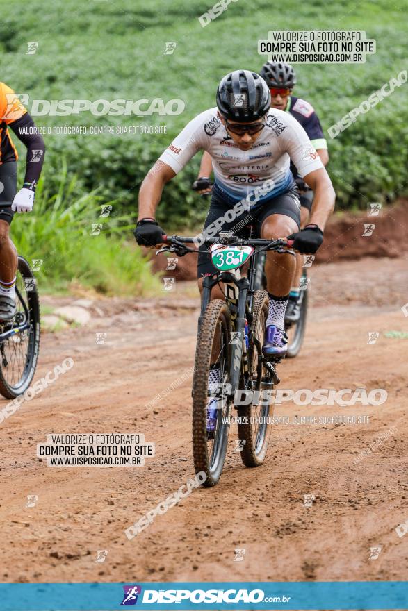 V GP Mandaguaçu de MTB