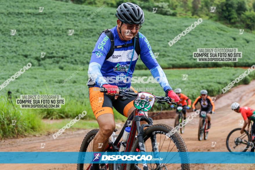 V GP Mandaguaçu de MTB