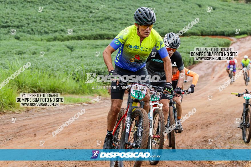 V GP Mandaguaçu de MTB