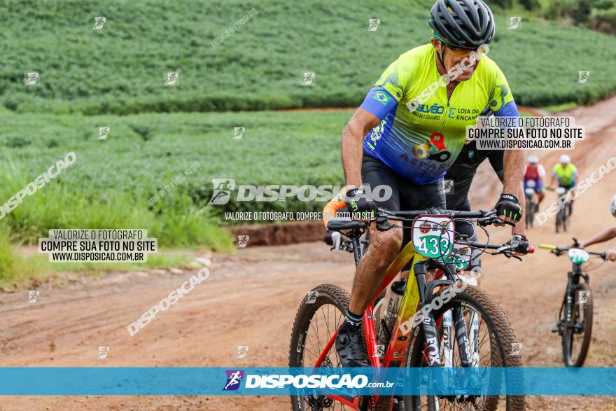 V GP Mandaguaçu de MTB