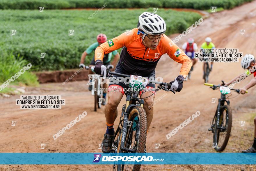 V GP Mandaguaçu de MTB