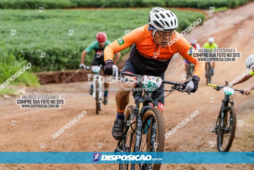 V GP Mandaguaçu de MTB