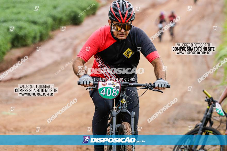 V GP Mandaguaçu de MTB