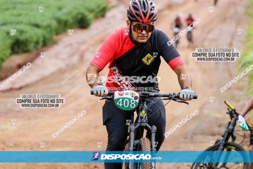 V GP Mandaguaçu de MTB