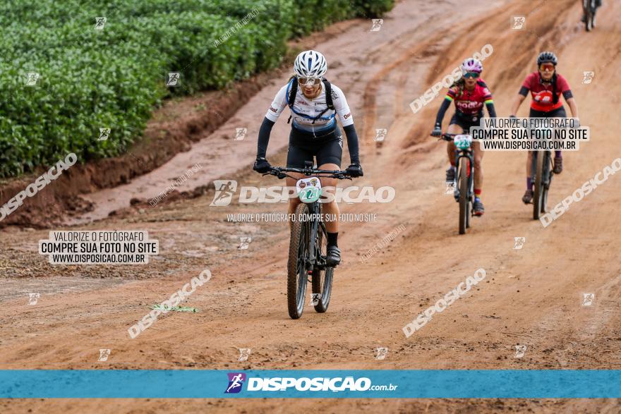 V GP Mandaguaçu de MTB