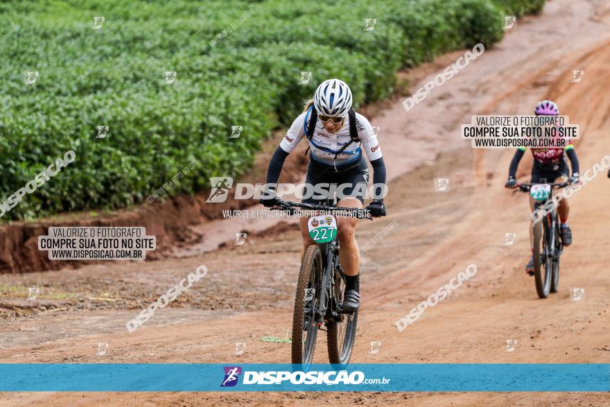 V GP Mandaguaçu de MTB