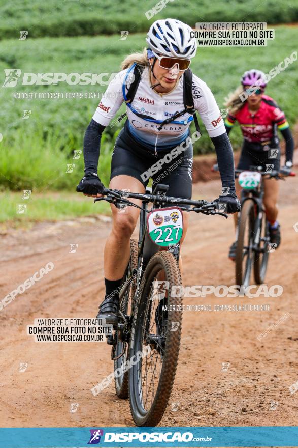 V GP Mandaguaçu de MTB