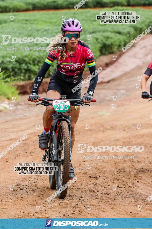 V GP Mandaguaçu de MTB