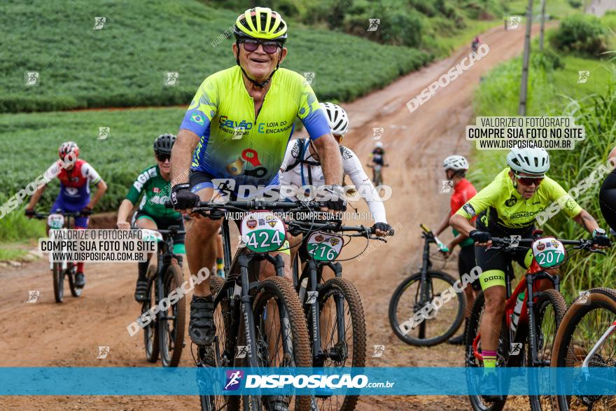 V GP Mandaguaçu de MTB